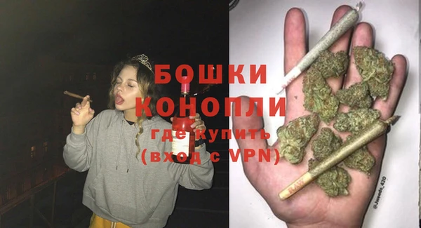 ПСИЛОЦИБИНОВЫЕ ГРИБЫ Белокуриха