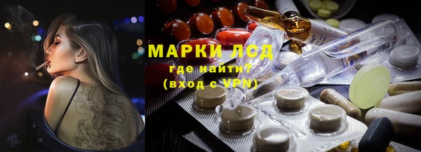 ПСИЛОЦИБИНОВЫЕ ГРИБЫ Белокуриха