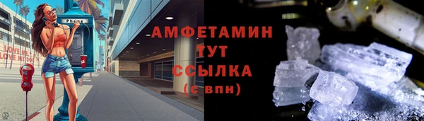 ПСИЛОЦИБИНОВЫЕ ГРИБЫ Белокуриха