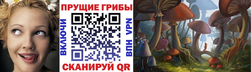 Галлюциногенные грибы мицелий  Володарск 