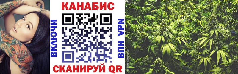 наркота  Володарск  Конопля сатива 